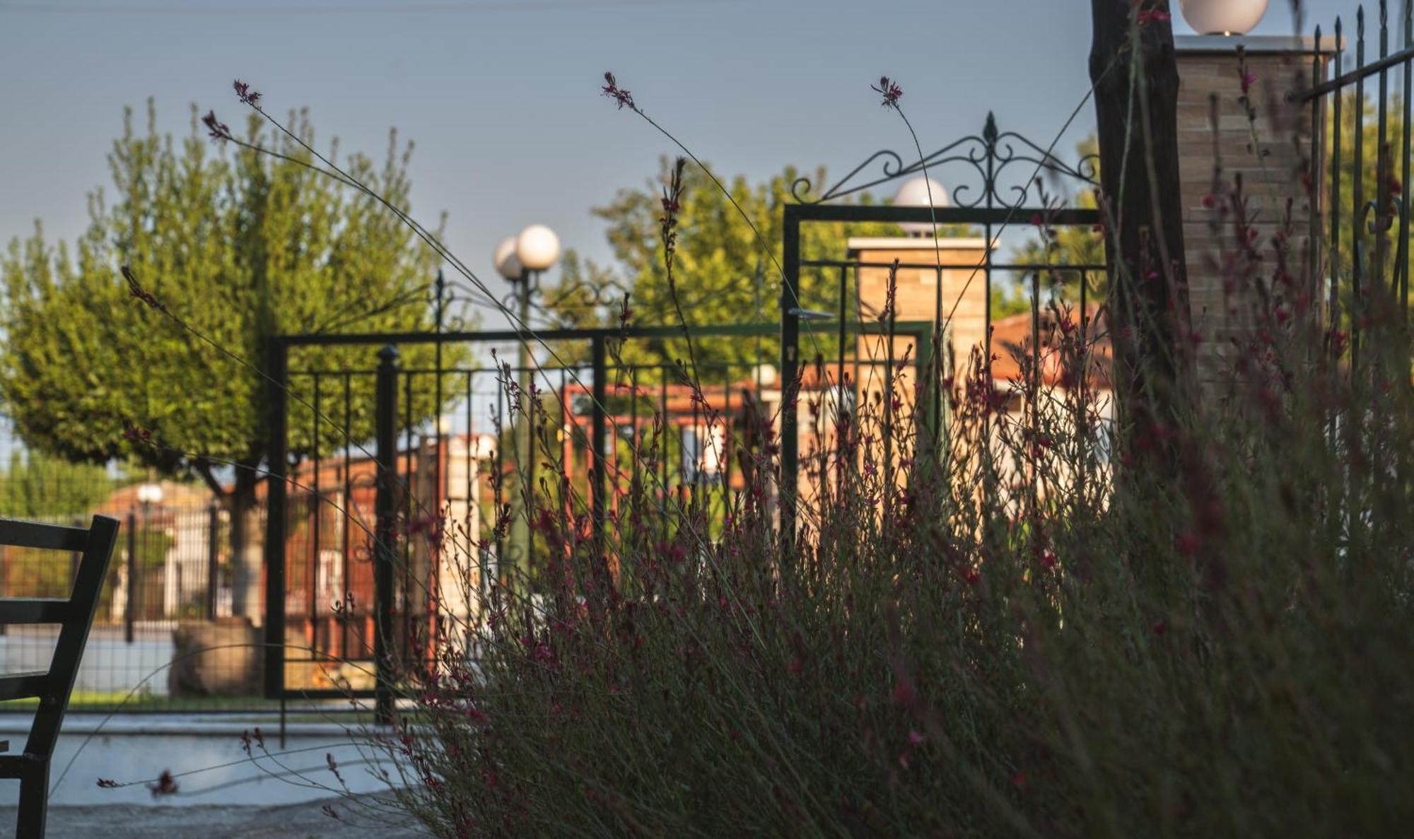 Holiday home Roots House Pozar *