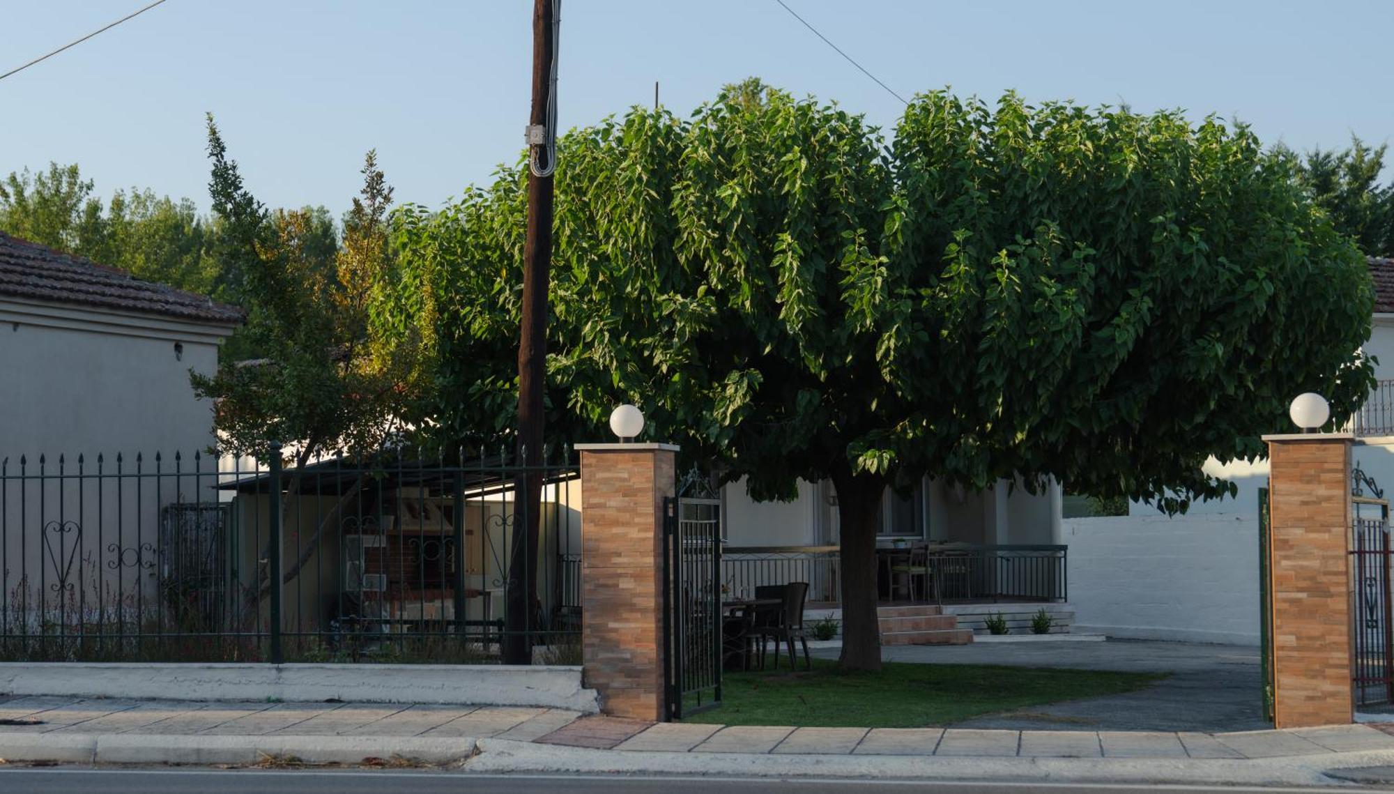 Roots House Pozar